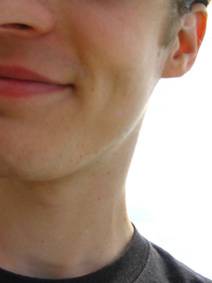 Single Stephen